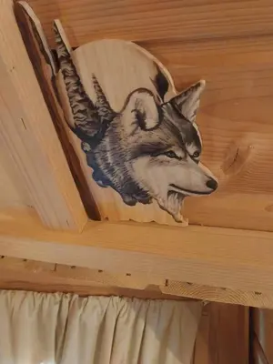Animaux dans la maison de vacances ou à proximité