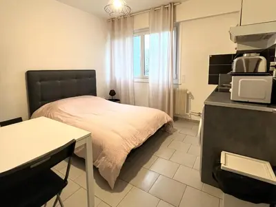 Cuisine ou kitchenette dans l'établissement Studio tout confort cité de la gastronomie (1)