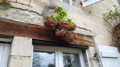 Bâtiment de le B&B/chambre d'hôtes