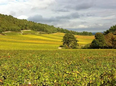 Paysage naturel près de la maison de vacances