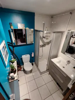 Salle de bains dans l'établissement Gîte du Moulin de Tart le Bas