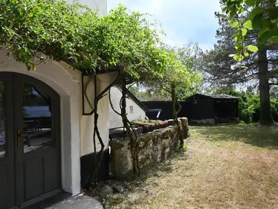 Jardin de l'établissement Jardins Fleuries