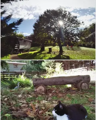 Jardin de l'établissement Tente Trappeur Ada, Au jardin de la Vouivre