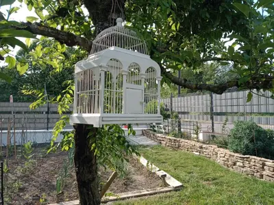 Jardin de l'établissement La Maison