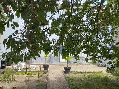Jardin de l'établissement Maison Chez Marinette