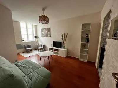 Télévision ou salle de divertissement dans l'établissement Chouette Appartement Dijon Centre
