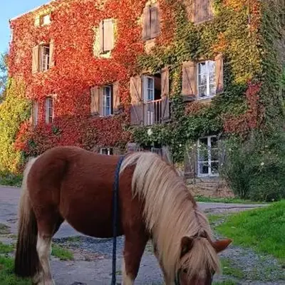 Le moulin de vaux