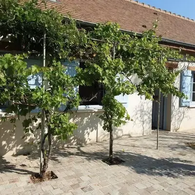 Les Annexes