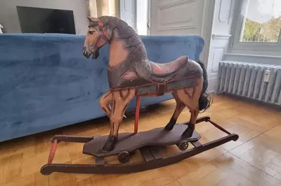 Animaux dans l'appartement ou à proximité