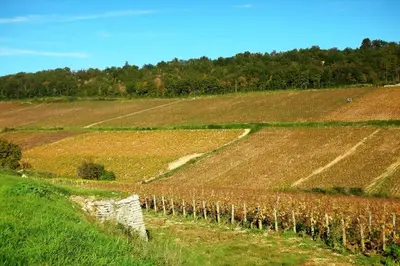 Paysage naturel près de la maison de vacances