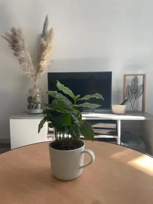 Télévision ou salle de divertissement dans l'établissement Appartement calme au cœur de la ville