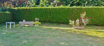 Jardin de l'établissement Petite maison