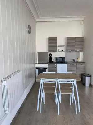 Cuisine ou kitchenette dans l'établissement Studio spacieux proche du centre ville