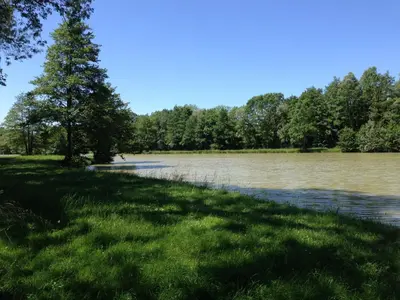 Paysage naturel près de le camping