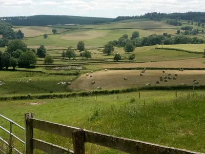 Paysage naturel près de l'appartement