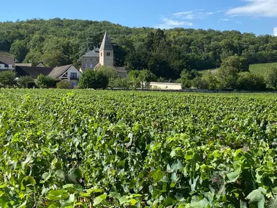 Paysage naturel près de la maison de vacances
