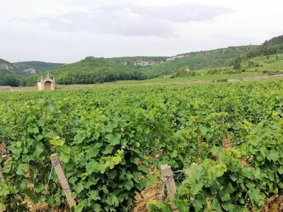 Paysage naturel près de l'appartement