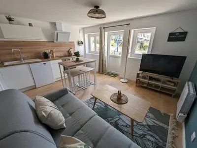 Cuisine ou kitchenette dans l'établissement Le Studio Jungle