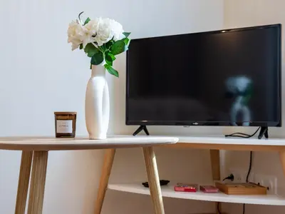 Télévision ou salle de divertissement dans l'établissement Le Lotus - Parking public gratuit, wifi haut débit, proche autoroute, gare & centre ville