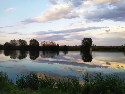 Vue sur la rivière ou le fleuve situé(e) à proximité de le bateau