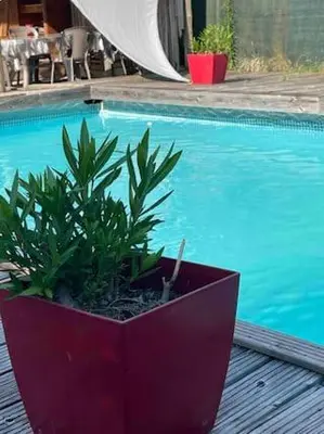 Piscine de l'établissement LES CHALETS DE VANESS' l'Eden ou située à proximité