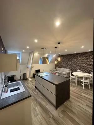 Cuisine ou kitchenette dans l'établissement Appartement à Beaune avec Parking
