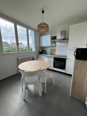 Cuisine ou kitchenette dans l'établissement Appartement - Dijon