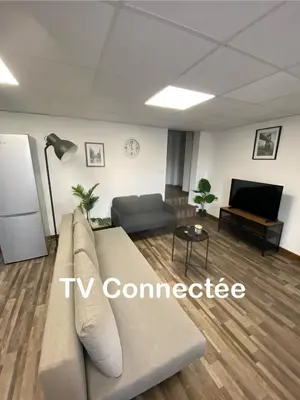 Télévision ou salle de divertissement dans l'établissement Les Pichies, T2 Maxou, centre ville.