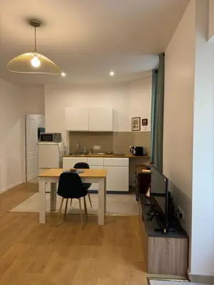 Cuisine ou kitchenette dans l'établissement Appartement meublé tout confort