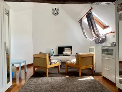 Télévision ou salle de divertissement dans l'établissement Le Clos Papillon