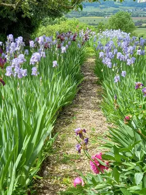 Jardin de l'établissement Le Prieuré de l'Auxois