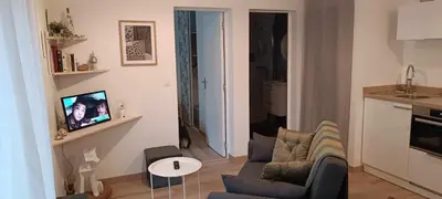 Télévision ou salle de divertissement dans l'établissement L'appentis