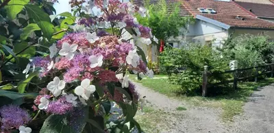 Jardin de l'établissement maison Chez Kitoune