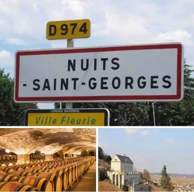 Certificat, récompense, panneau ou autre document affiché dans l'établissement Villa et visite du vignoble et Piscine