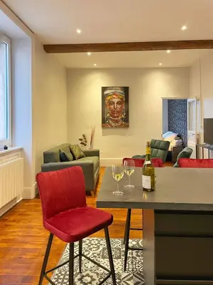 Coin salon dans l'établissement Center Macon charmant appartement avec vue sur la Saone