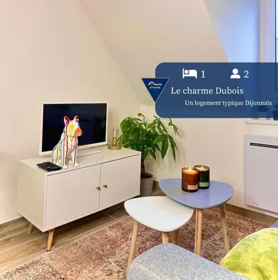 Télévision ou salle de divertissement dans l'établissement Le charme Dubois