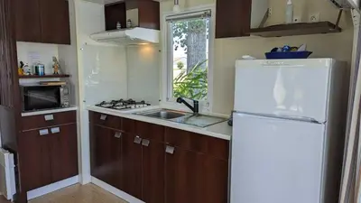 Cuisine ou kitchenette dans l'établissement Cottage flottant Premium terrasse Jacuzzi privé en supplément près de Dijon