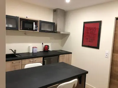 Cuisine ou kitchenette dans l'établissement Charmant appartement centre ville avec cour