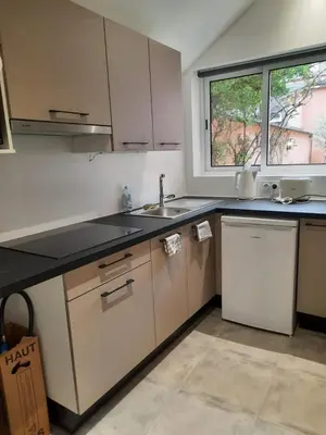 Cuisine ou kitchenette dans l'établissement Big Townhouse In Paray Le Monial For 25 People