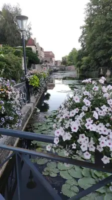 Paysage naturel près de l'appartement