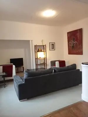 Coin salon dans l'établissement Logement spacieux et lumineux