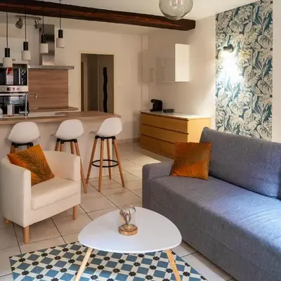 App cosi Ile Saint Laurent Chalon Sur Saone