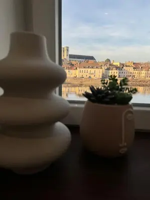 Coin salon dans l'établissement Appartement avec magnifique vue sur la Saône et son balcon