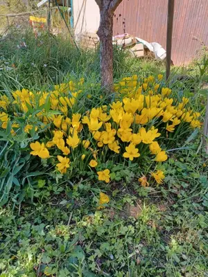 Jardin de l'établissement Chambre calme et agréable