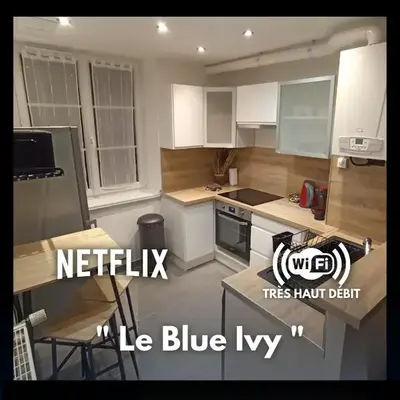 Le Blue IVY Hyper centre 2 chambres Tout équipe