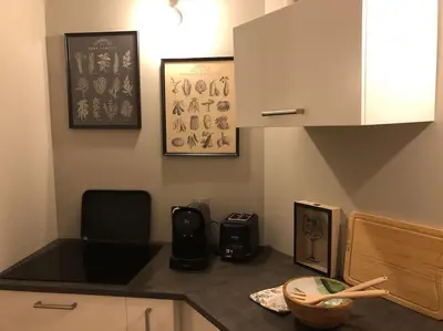 Cuisine ou kitchenette dans l'établissement Nuits centre : superbe gîte rénové et climatisé