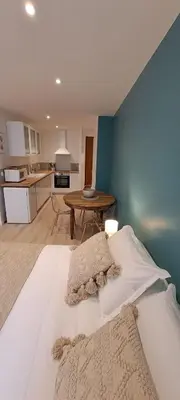 Cuisine ou kitchenette dans l'établissement Studio centre Macon place aux herbes