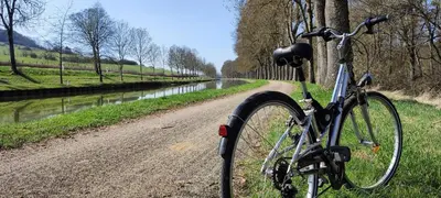 Vélo sur le terrain de l'établissement Gite Le Belvédère du Lac ou dans les environs