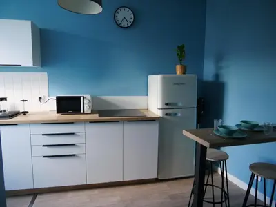 Cuisine ou kitchenette dans l'établissement Joli cocon - Dijon centre ville