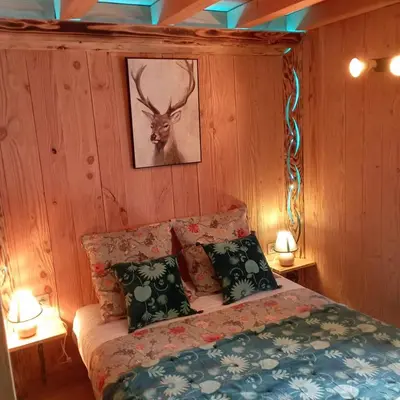 Un ou plusieurs lits dans un hébergement de l'établissement A la cabane des Bois dessus Tiny Gite